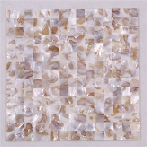 Wall Art Natural Shell Mosaic for Villa Background