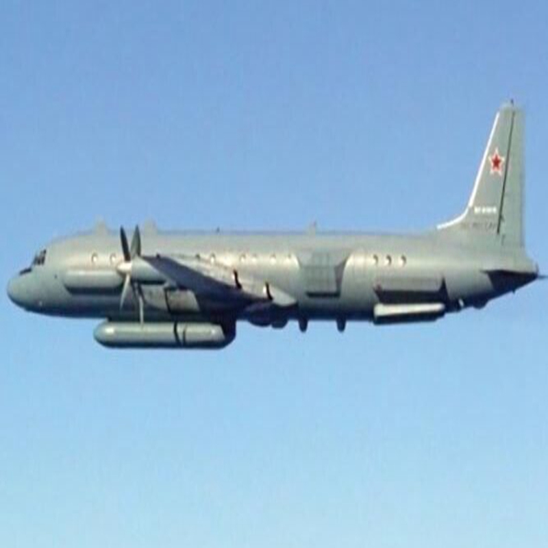 Syria accidentally shot down a Russian military plane