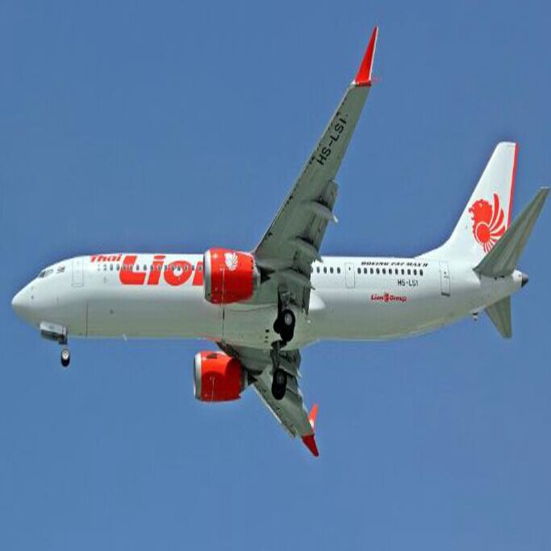 Lion Air: Some are looking where to place the blame, others wonder if their pilot can fly their plane